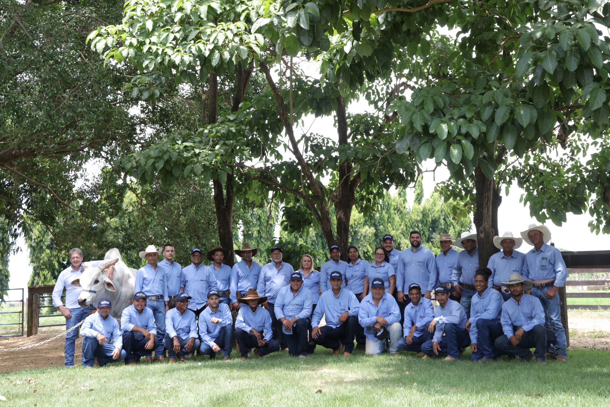 Equipe Vera Cruz