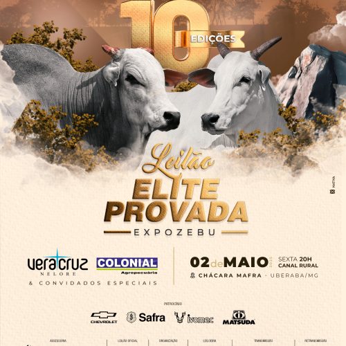 WhatsApp Image 2025-04-01 at 12.58.55